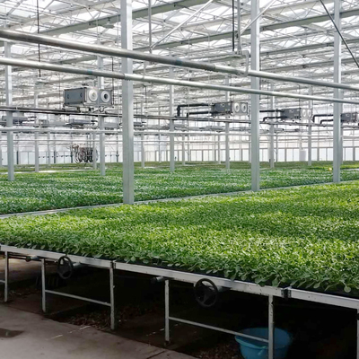 植物工廠多層花卉種植架 ABS潮汐式苗盤面板引領(lǐng)高效農(nóng)業(yè)種植技術(shù)
